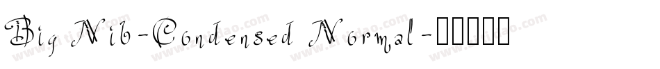 Big Nib-Condensed Normal字体转换